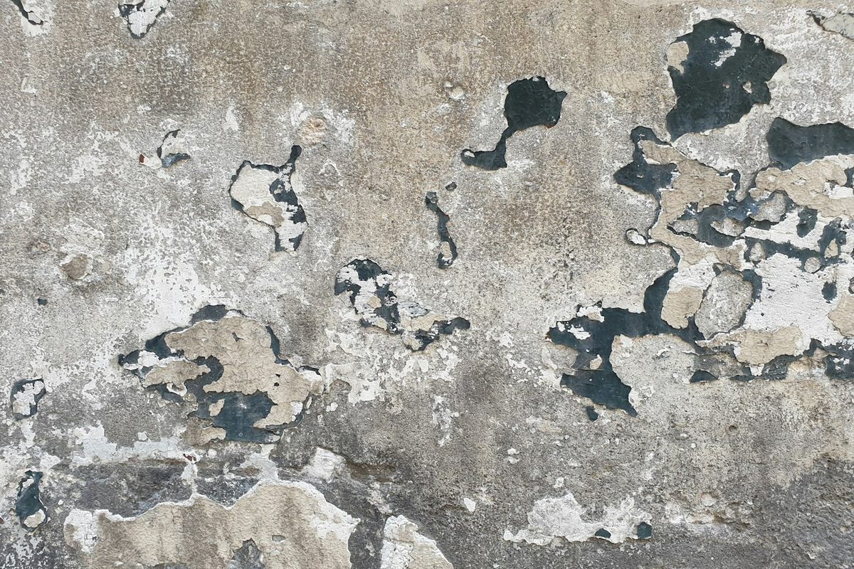 Muro con pintura descascarada por humedad